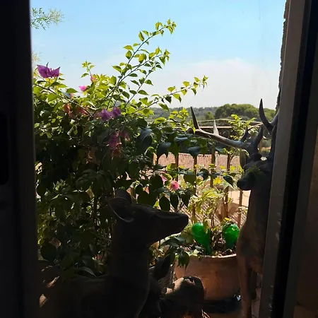 Le Chateau De Soleil